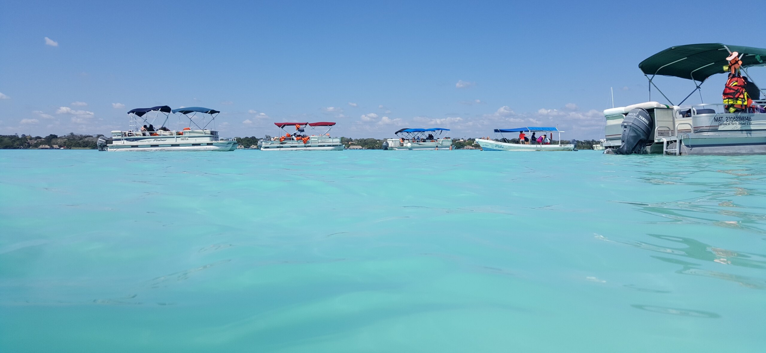Bacalar
