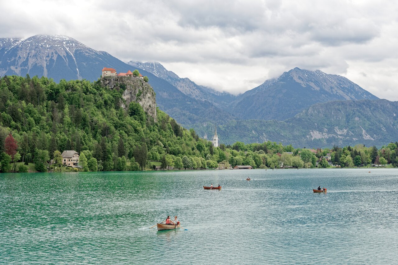 Bled