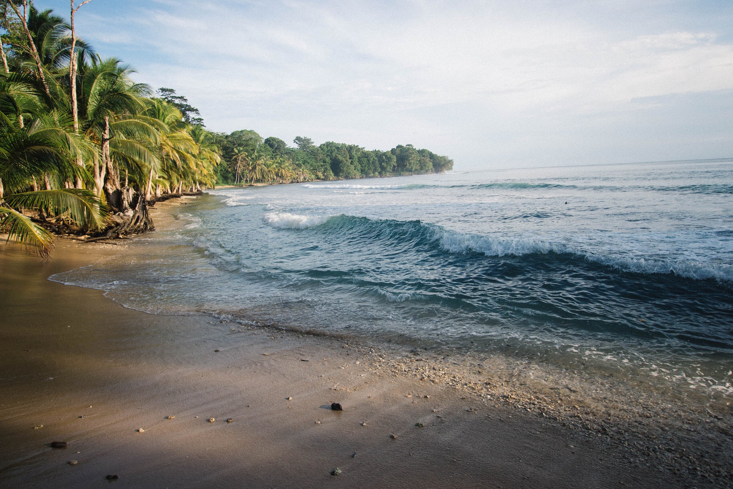 Bocas del Toro