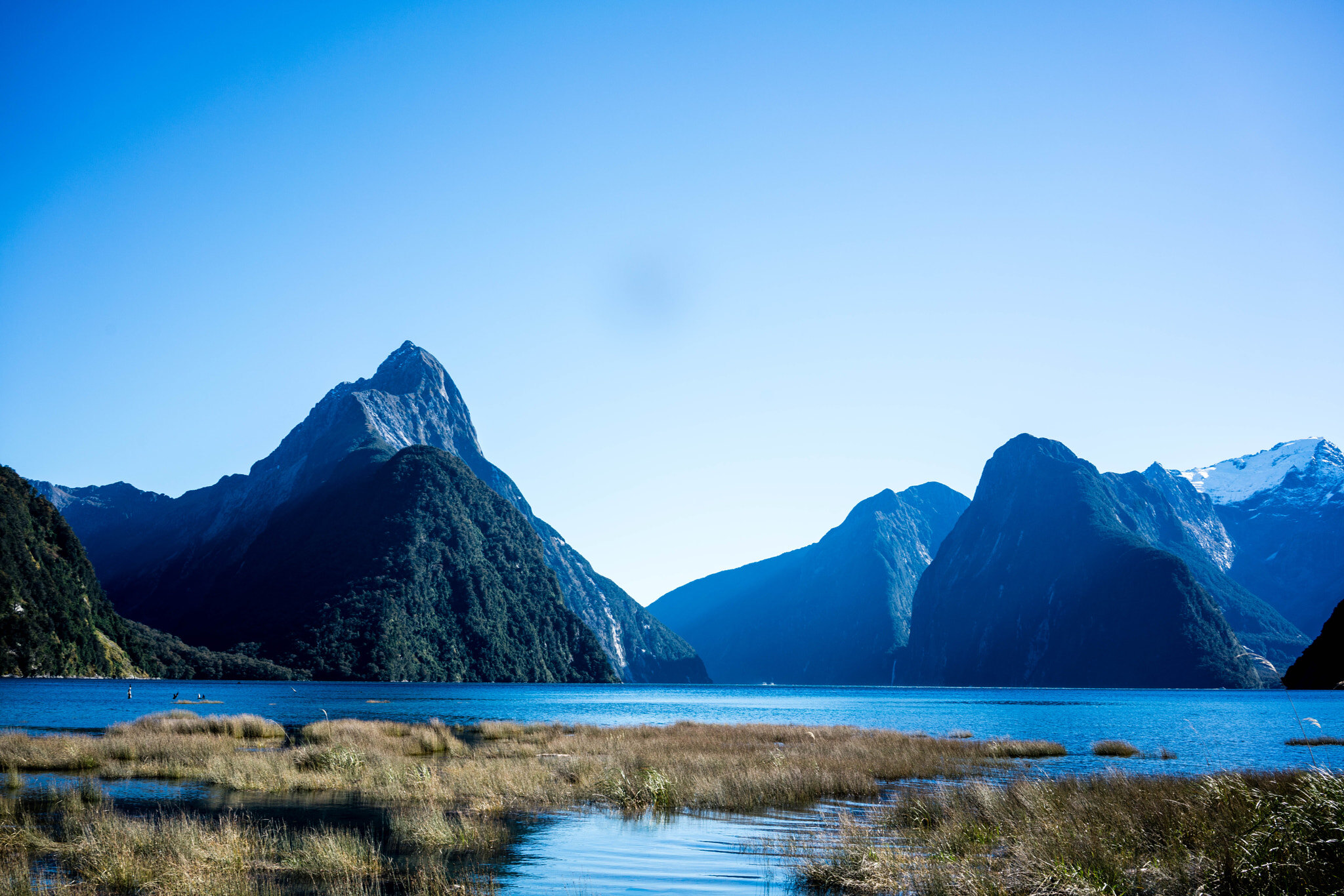 Fiordland