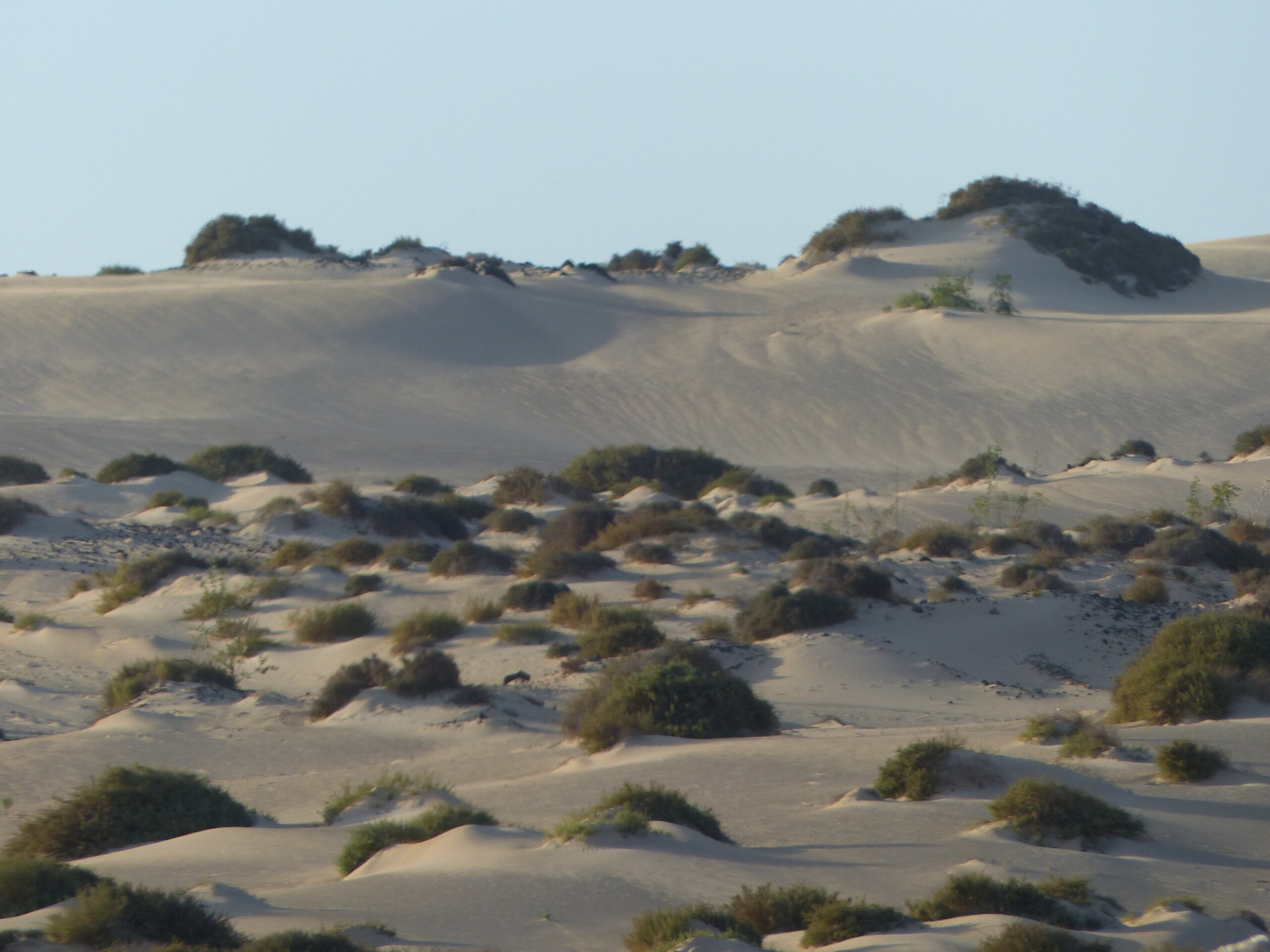 Fuerteventura