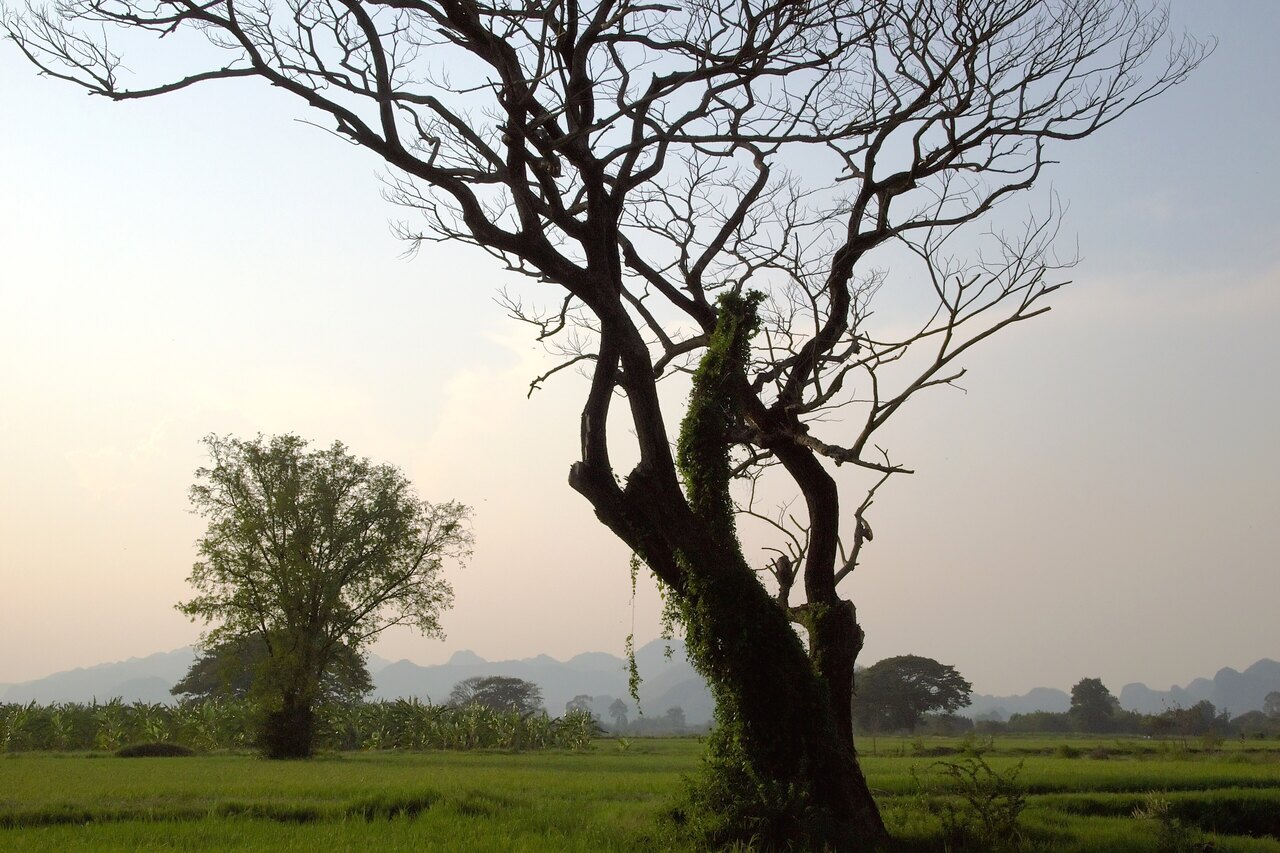 Kanchanaburi