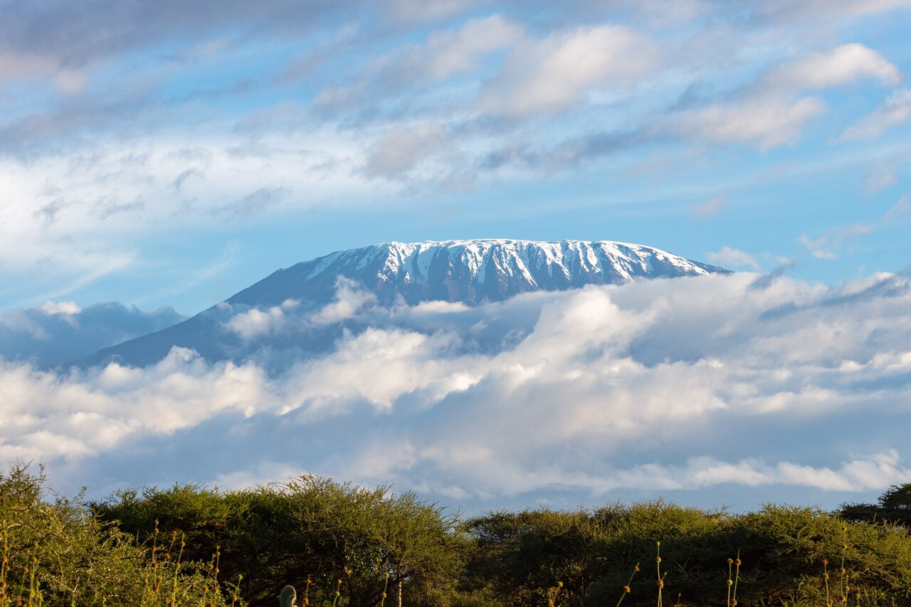 Kilimanjaro