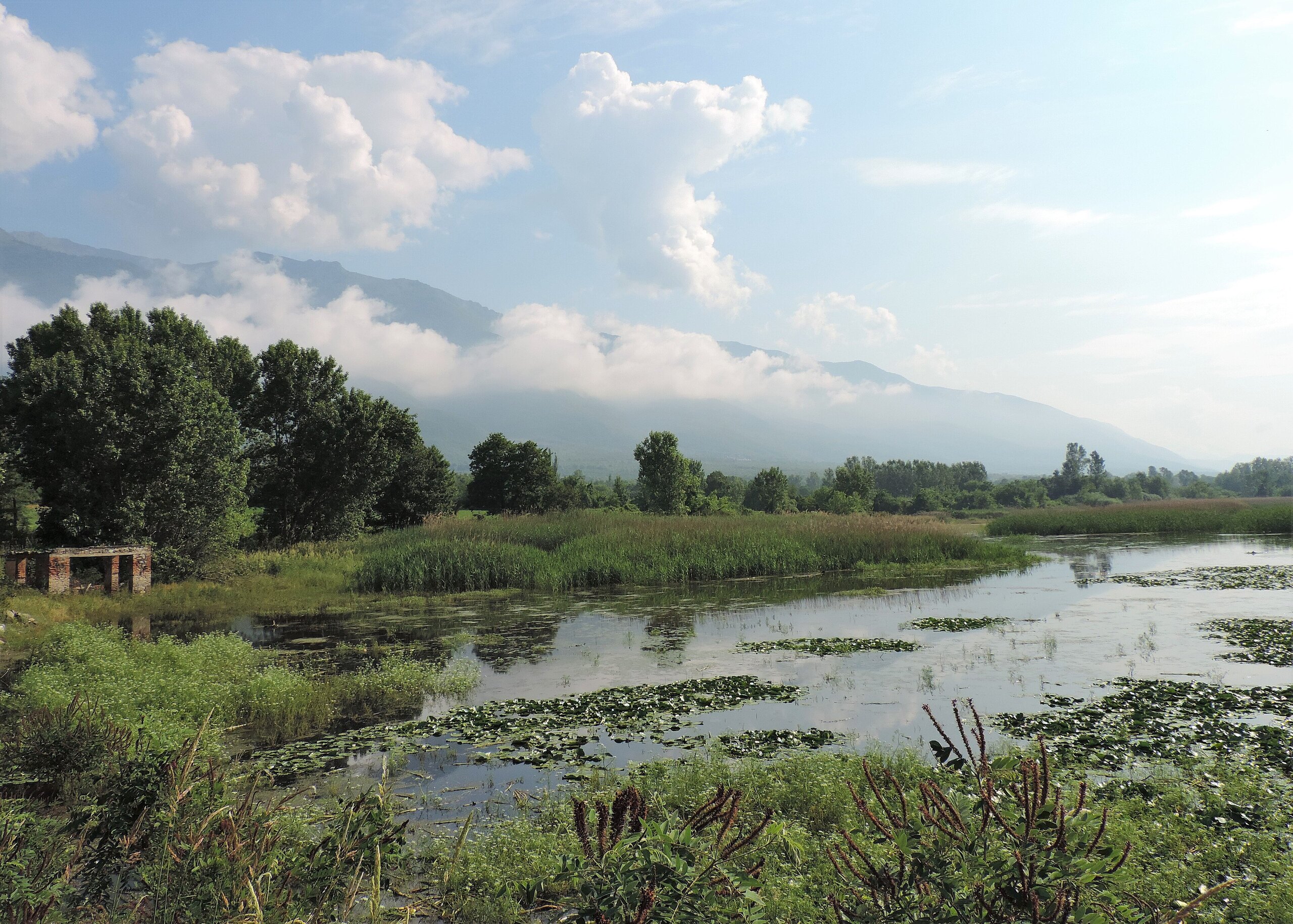 Lake Kerkini