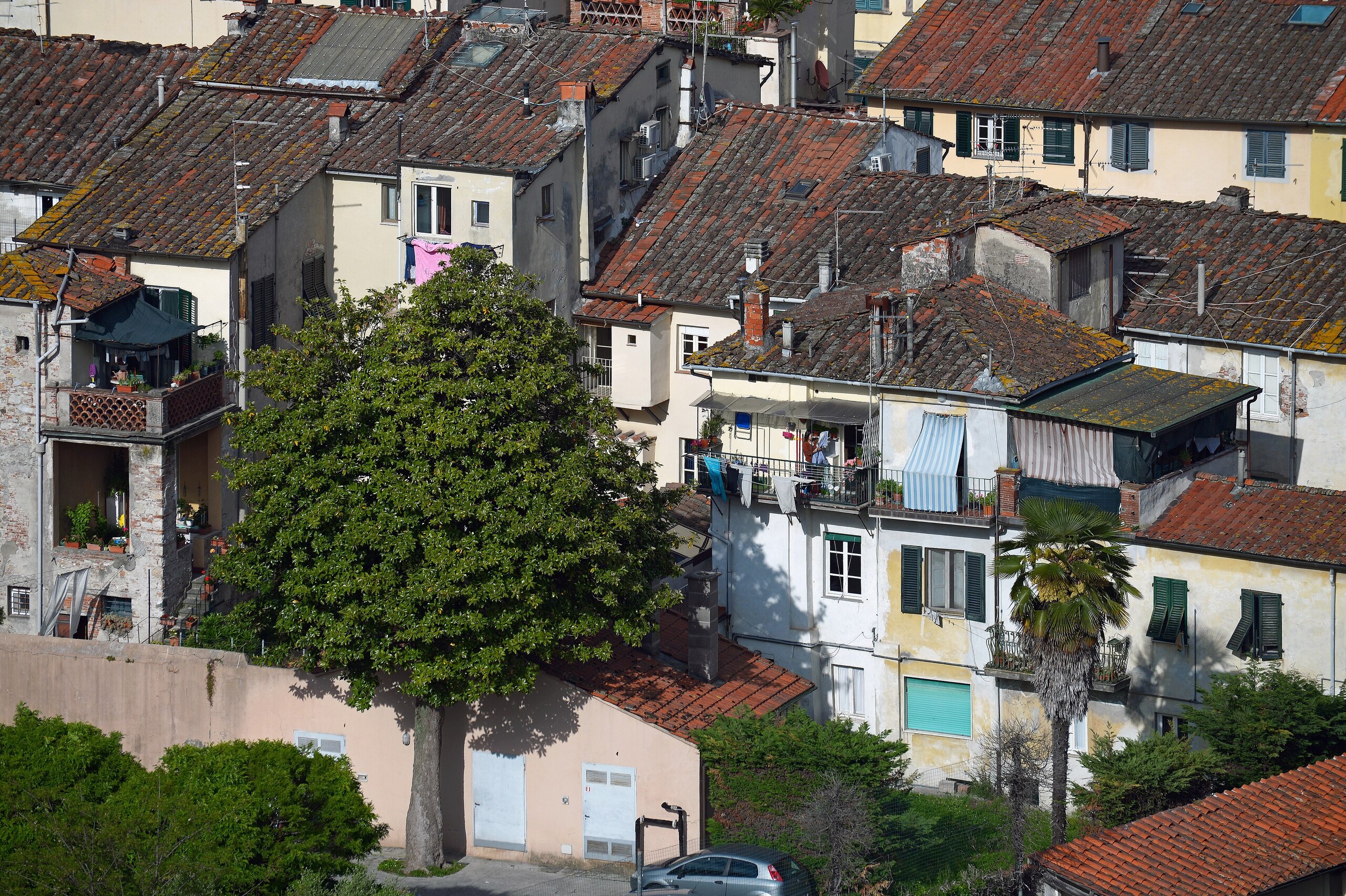 Lucca