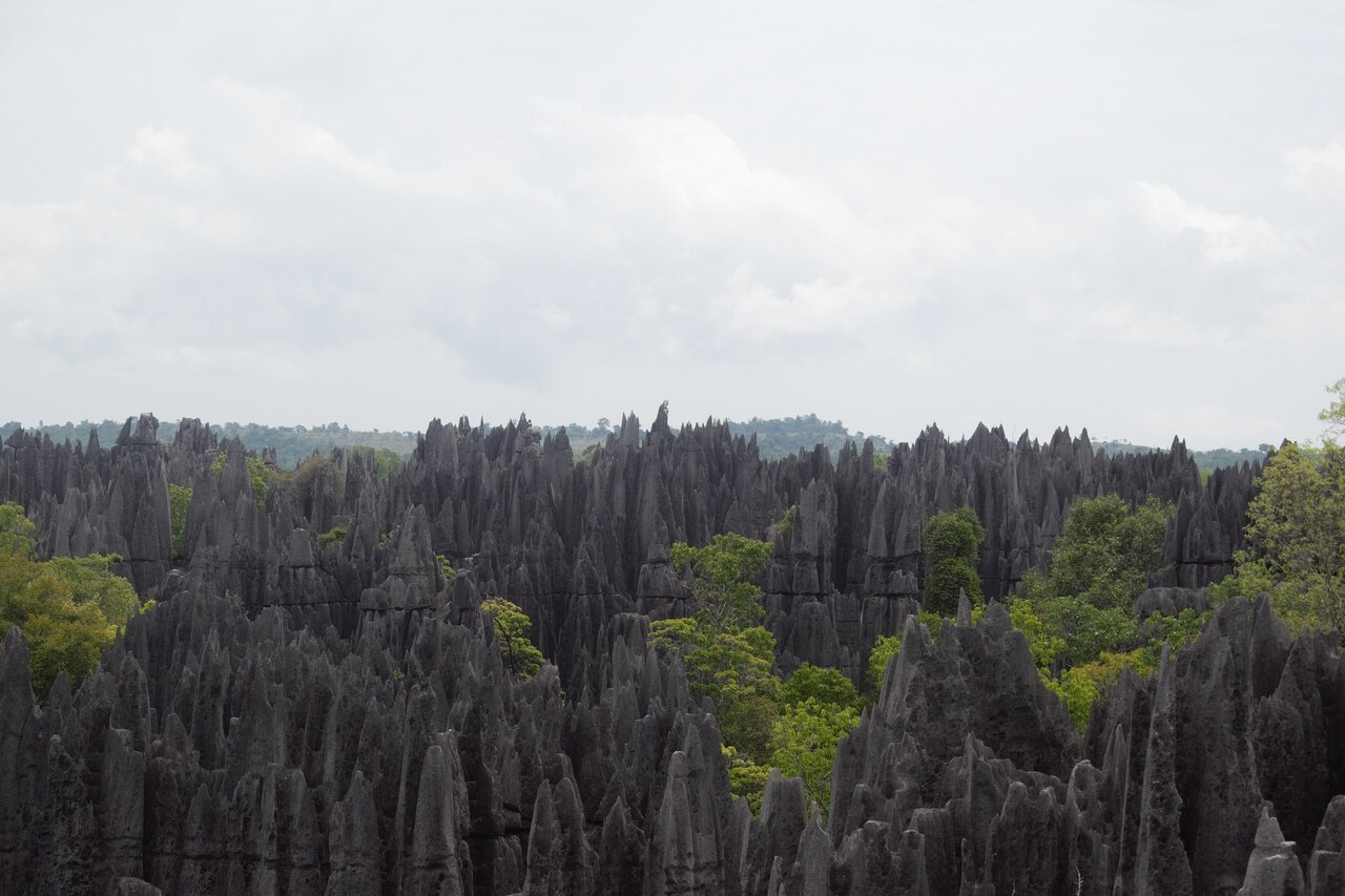 Madagascar