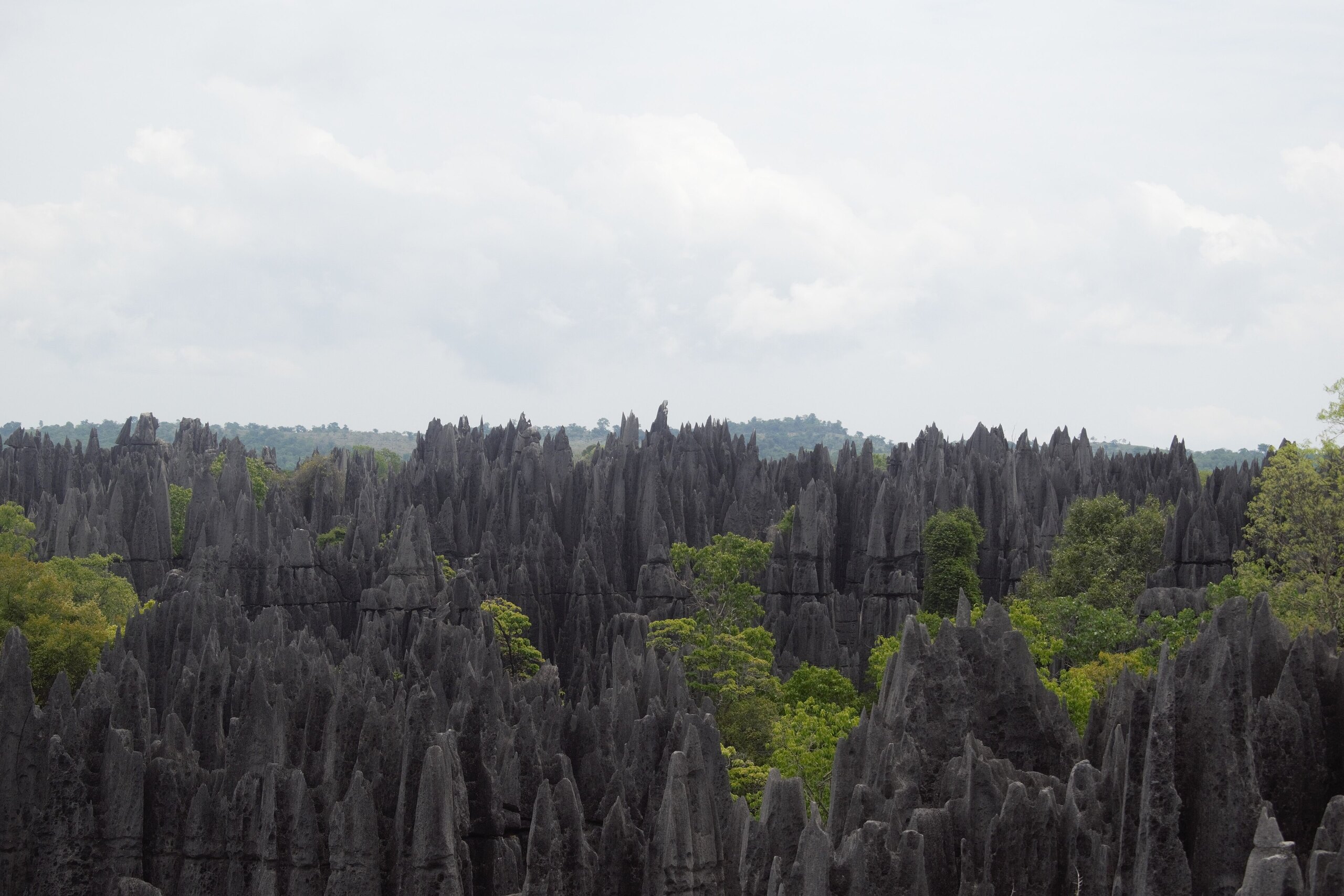 Madagascar