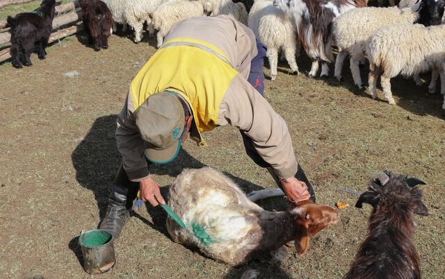Mongolia travel