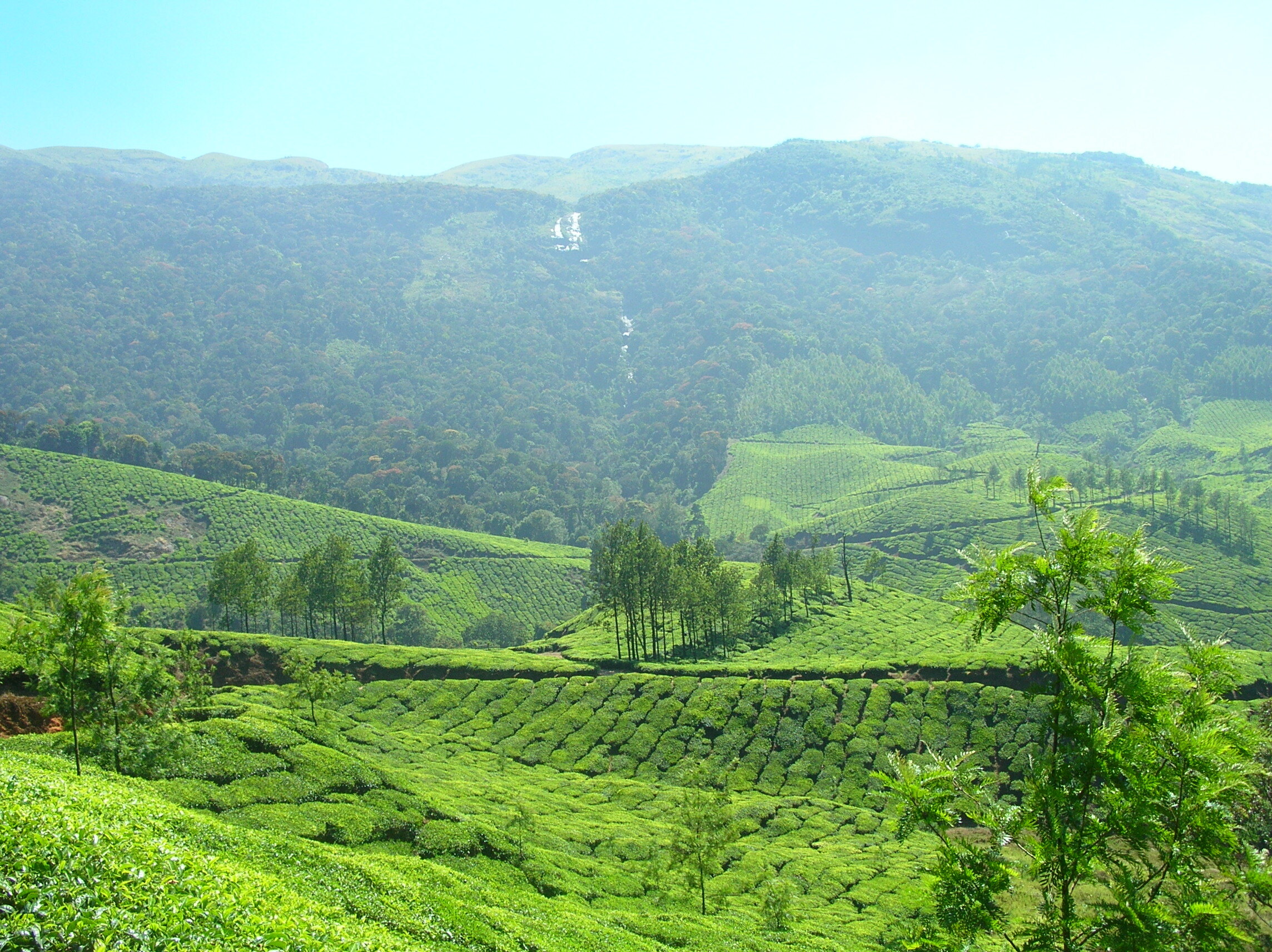 Munnar