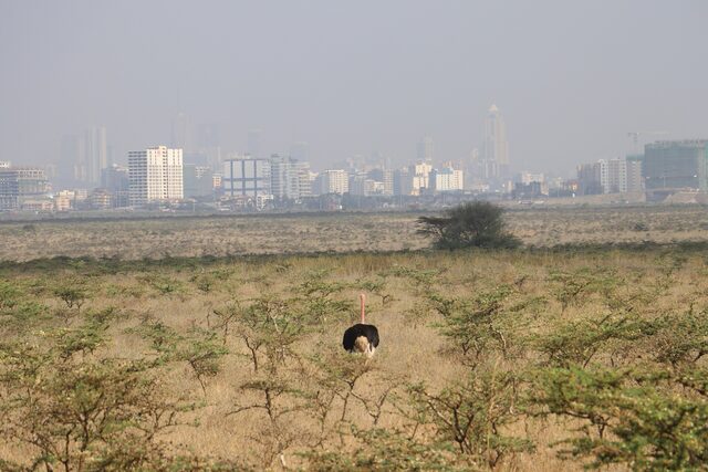 Nairobi travel