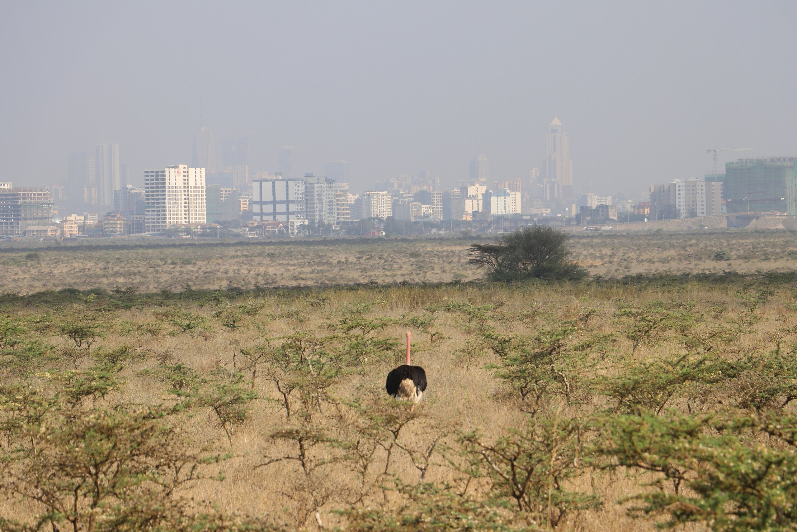 Nairobi