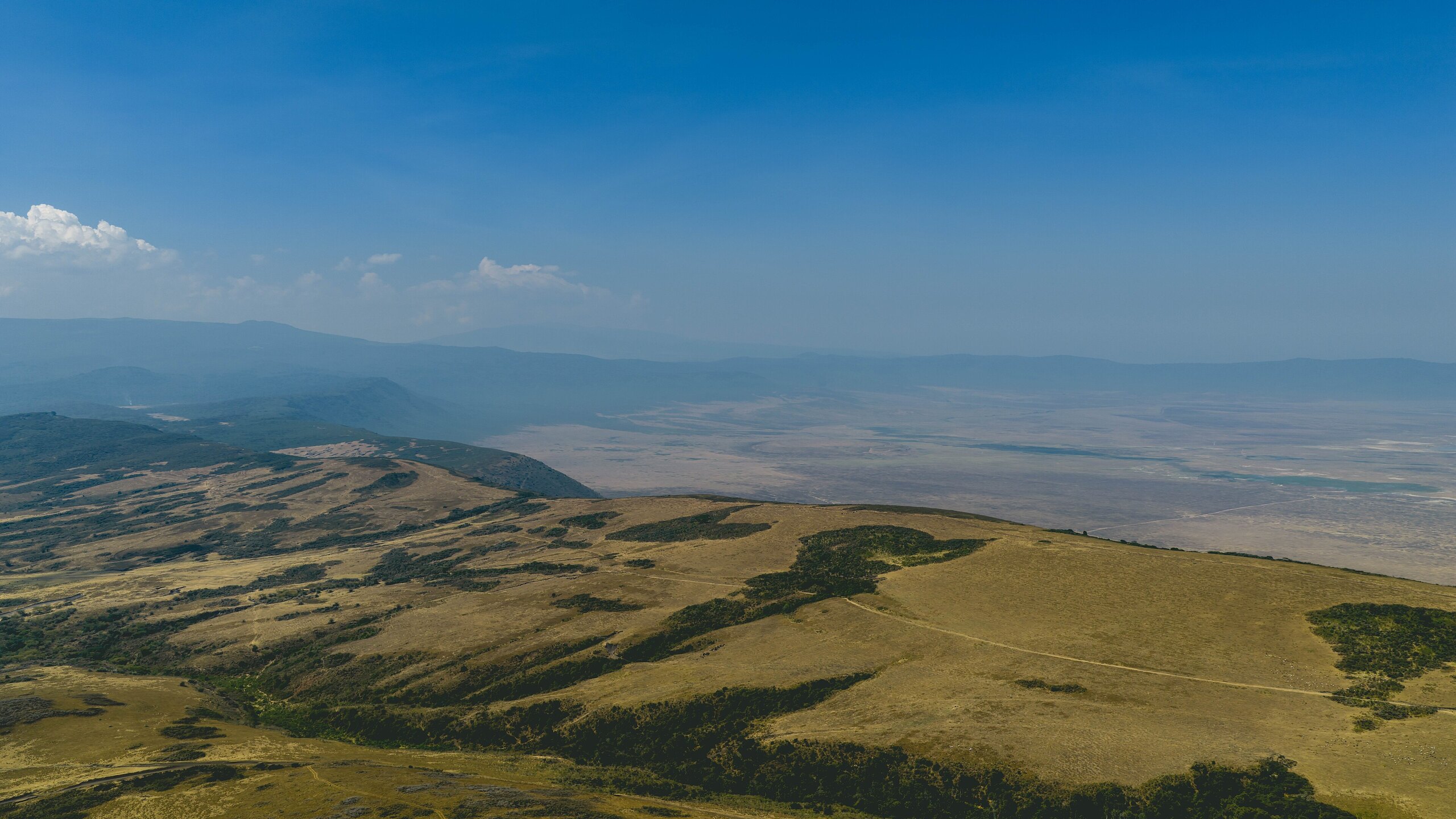 Ngorongoro