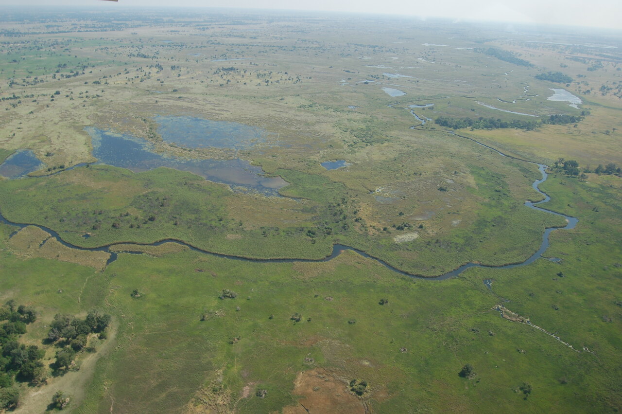 Okavango Delta