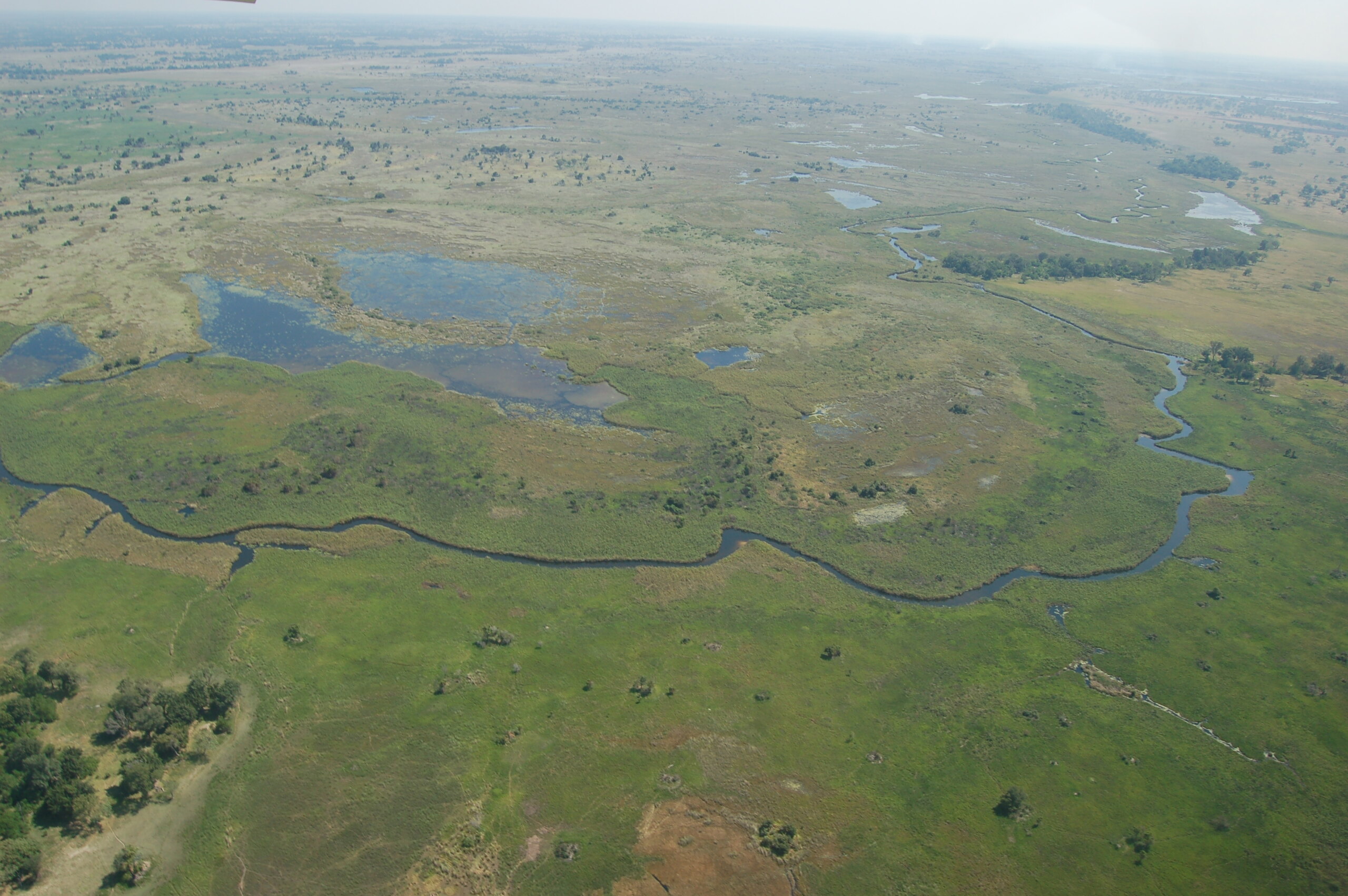 Okavango Delta