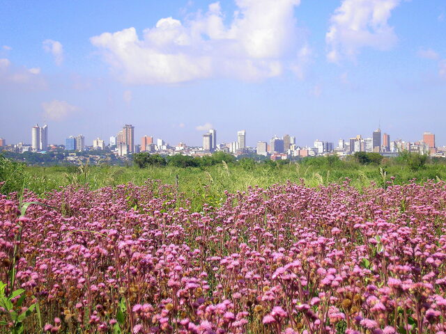 Paraguay travel