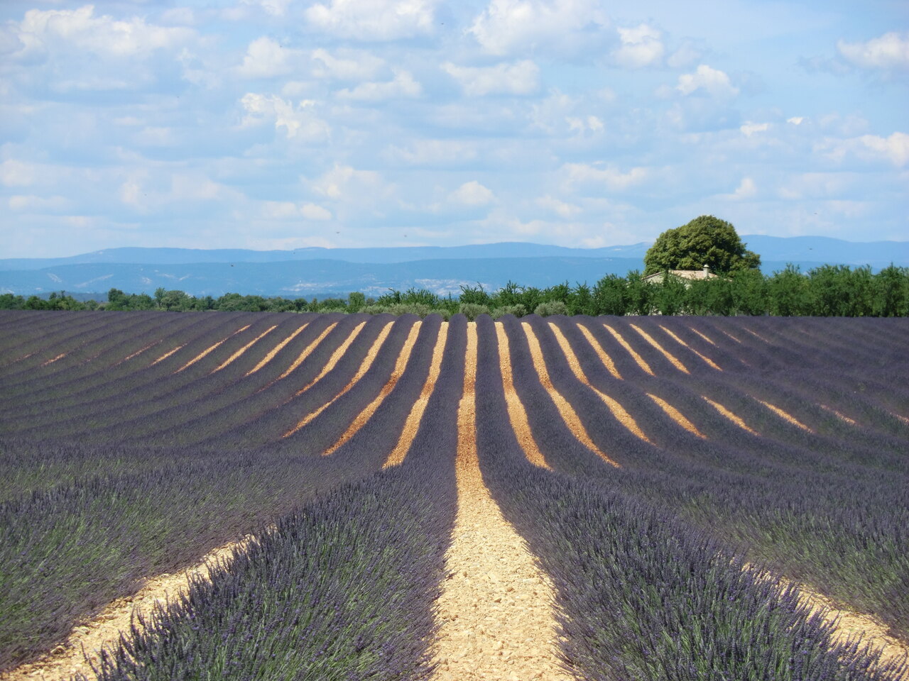 Provence