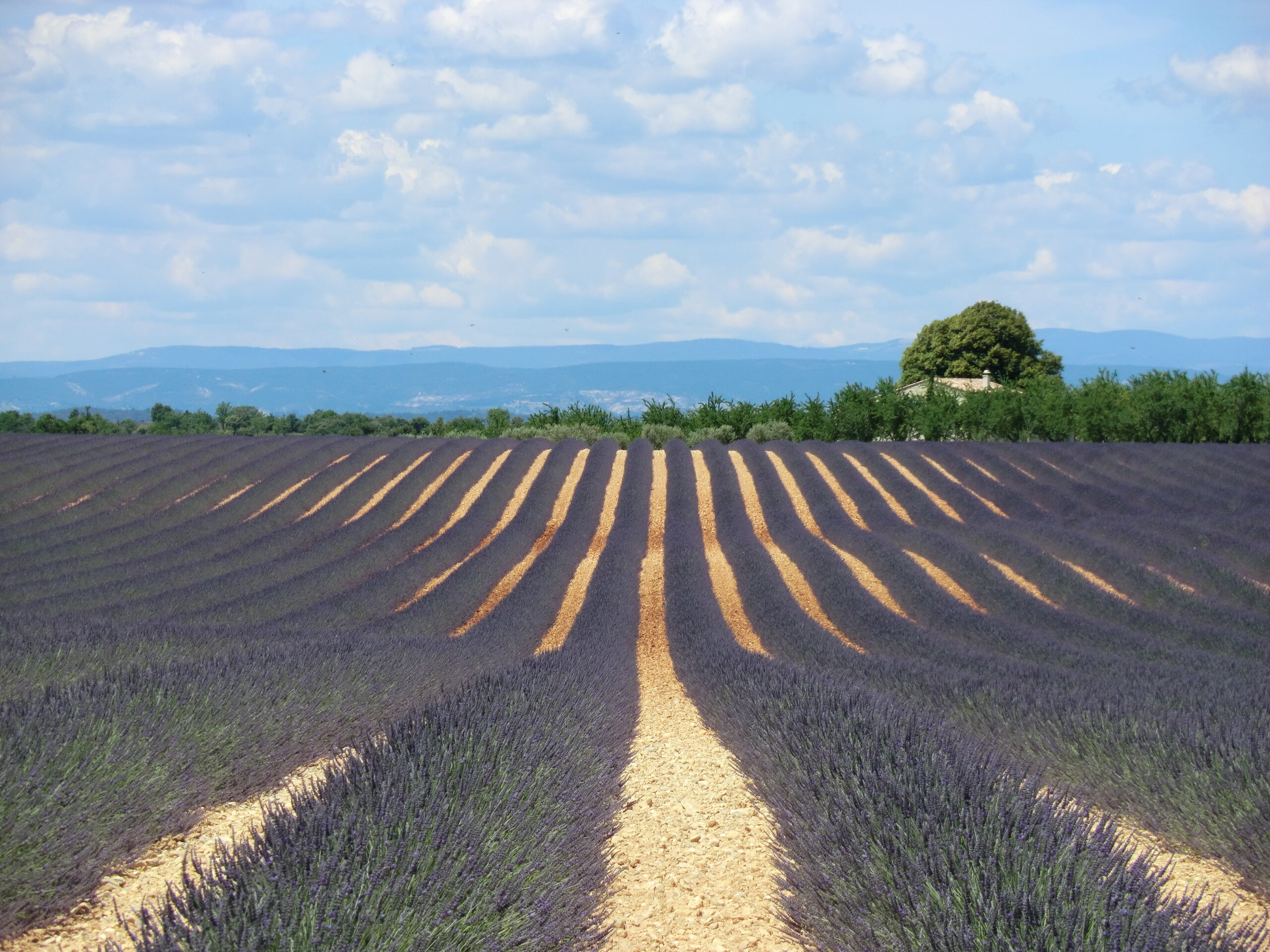 Provence
