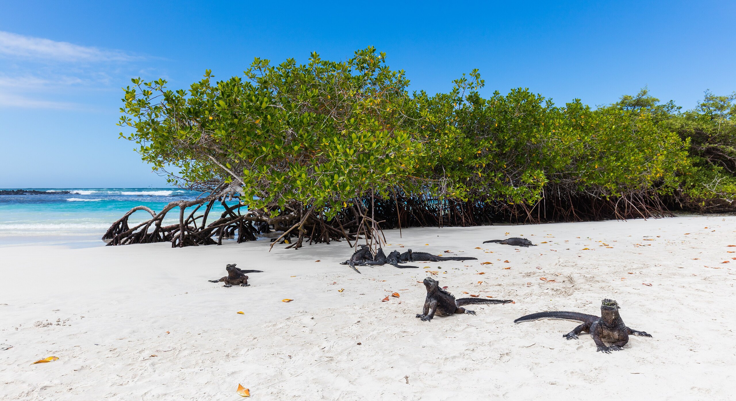 Puerto Ayora