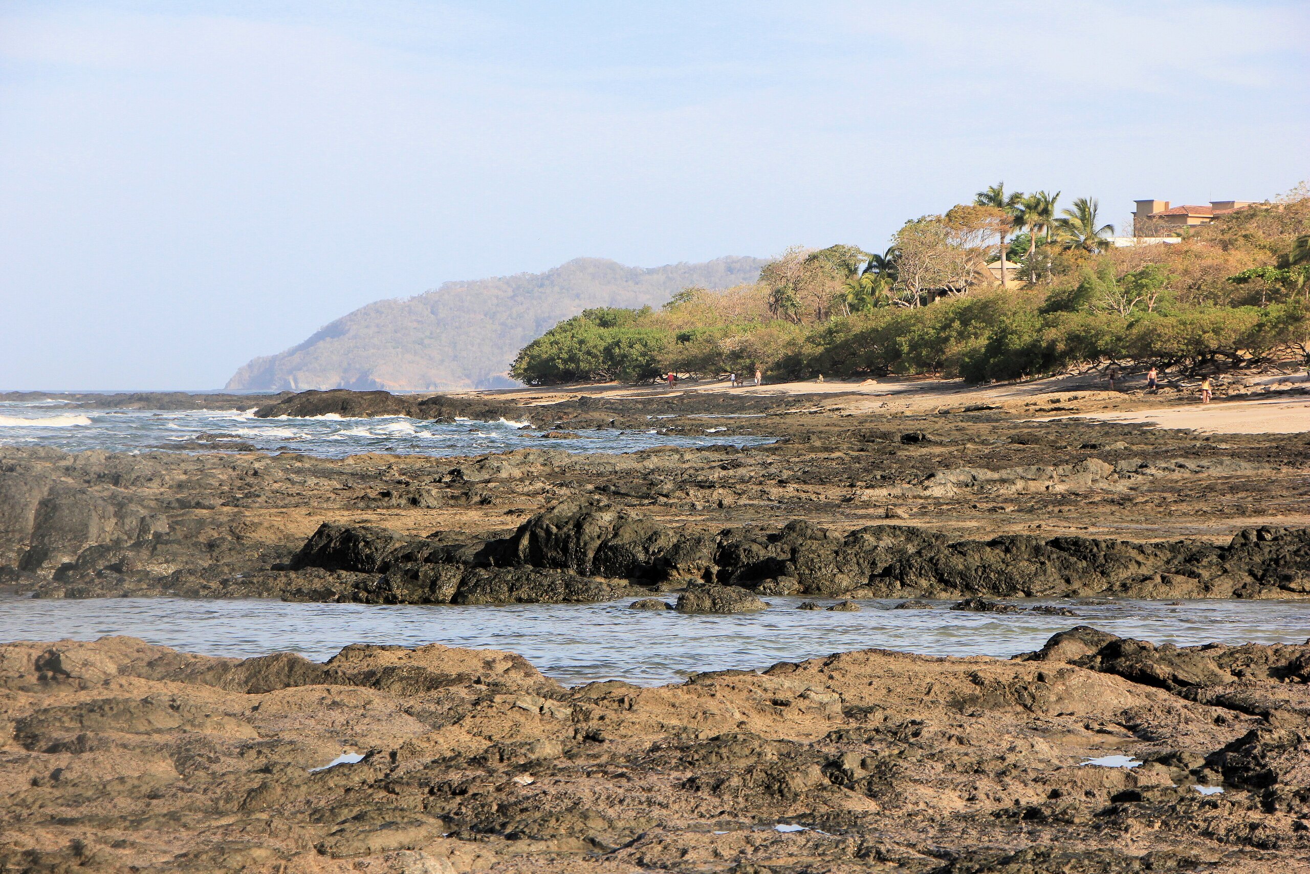 Tamarindo