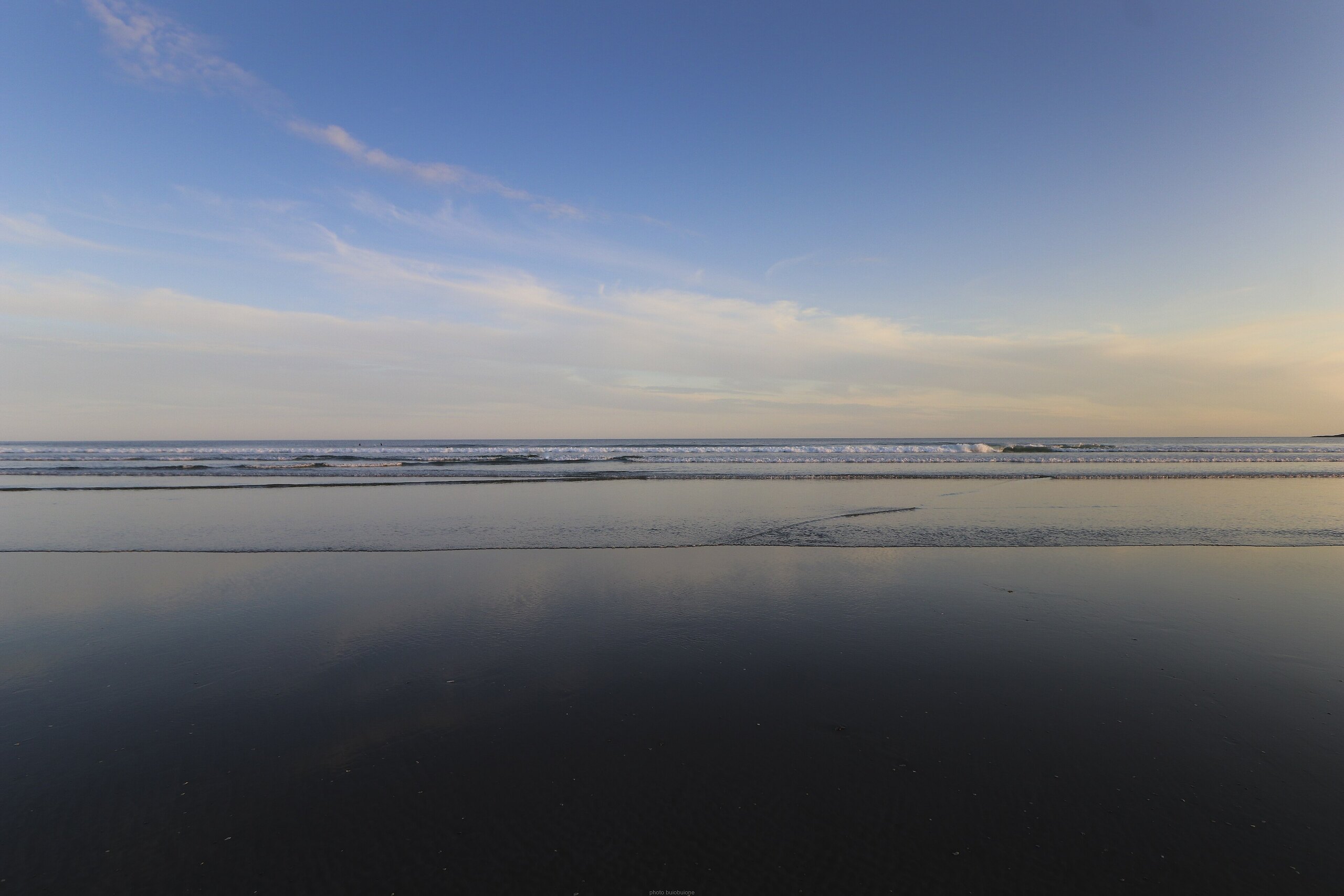 Tofino