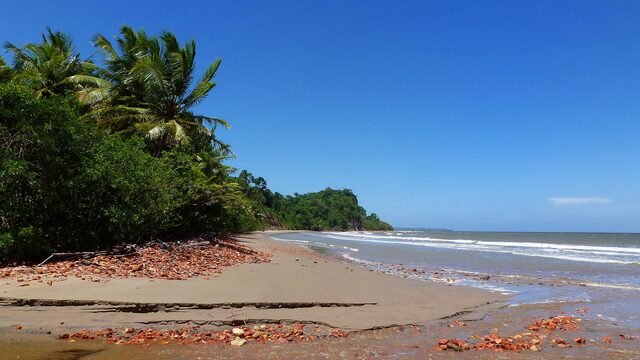 Trinidad and Tobago travel