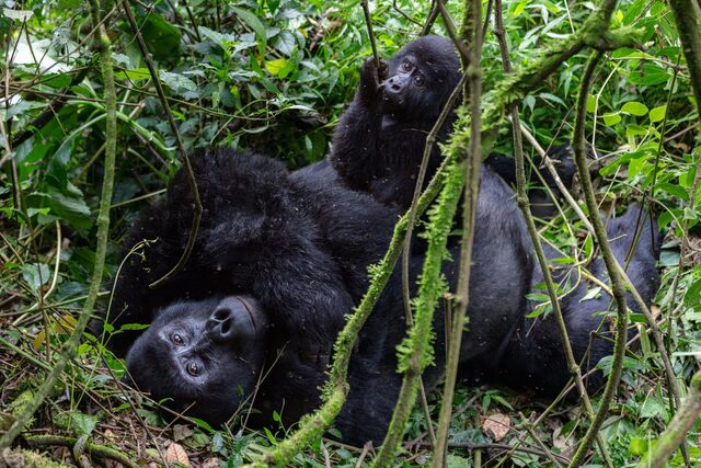 Uganda travel