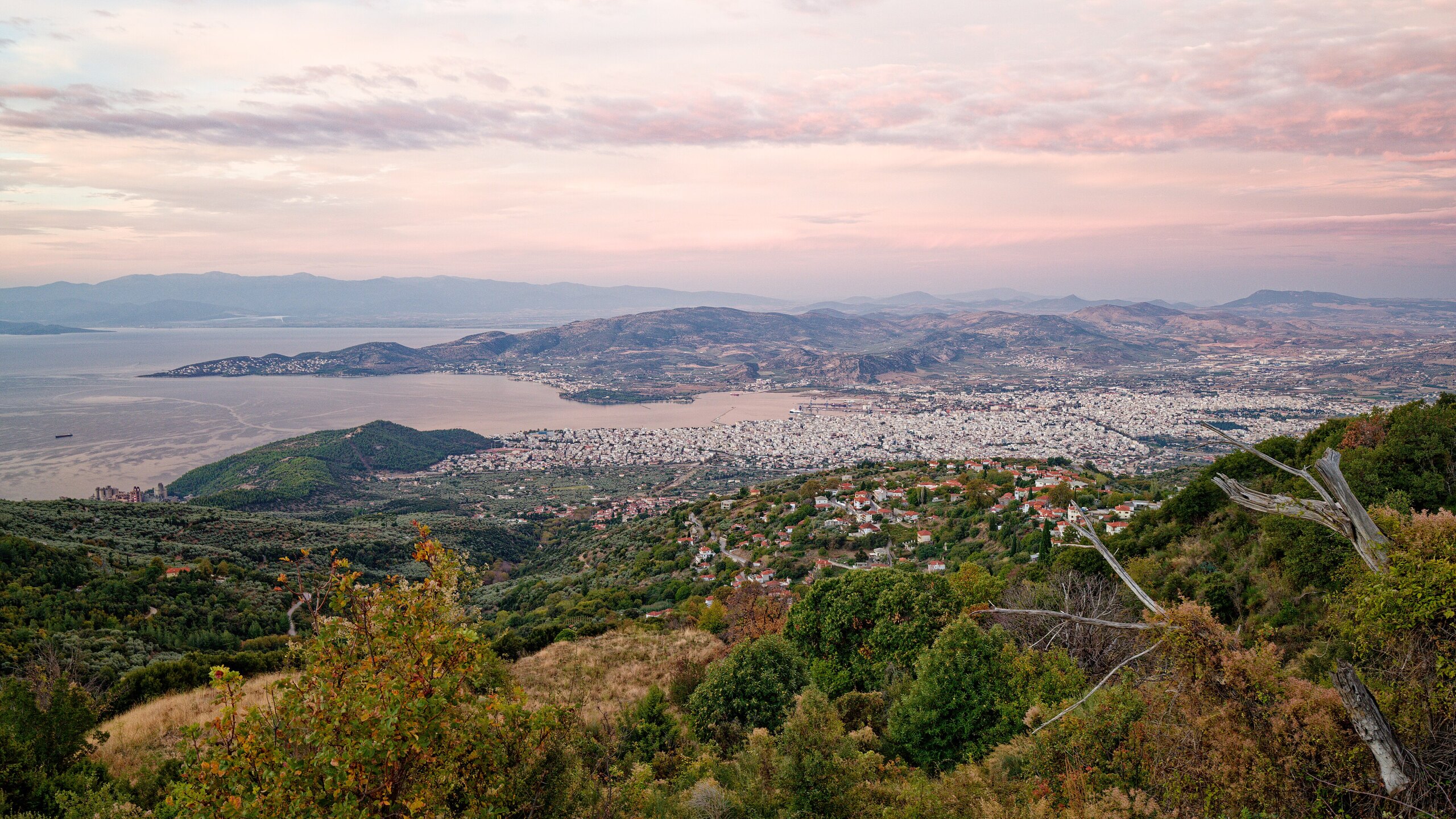 Volos
