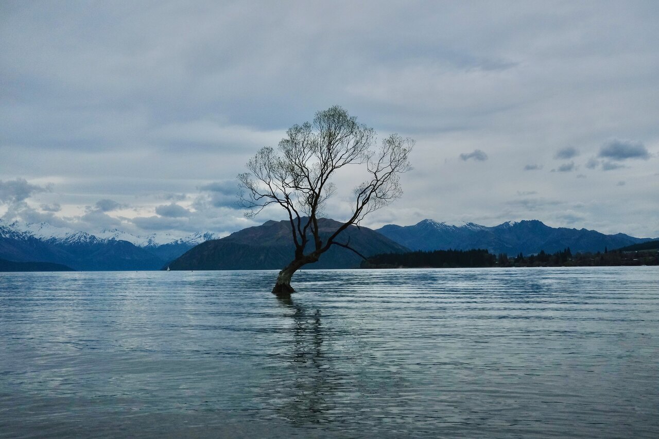 Wanaka