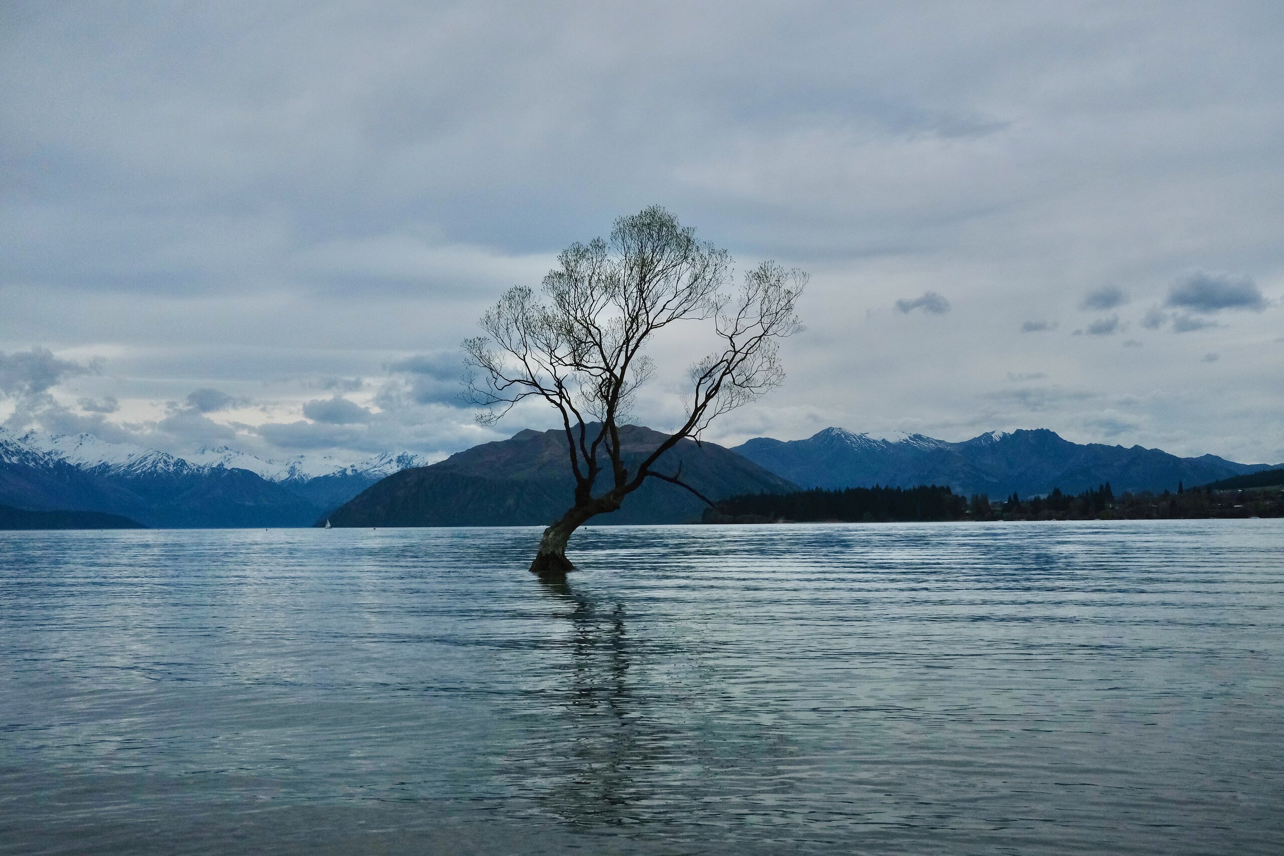 Wanaka