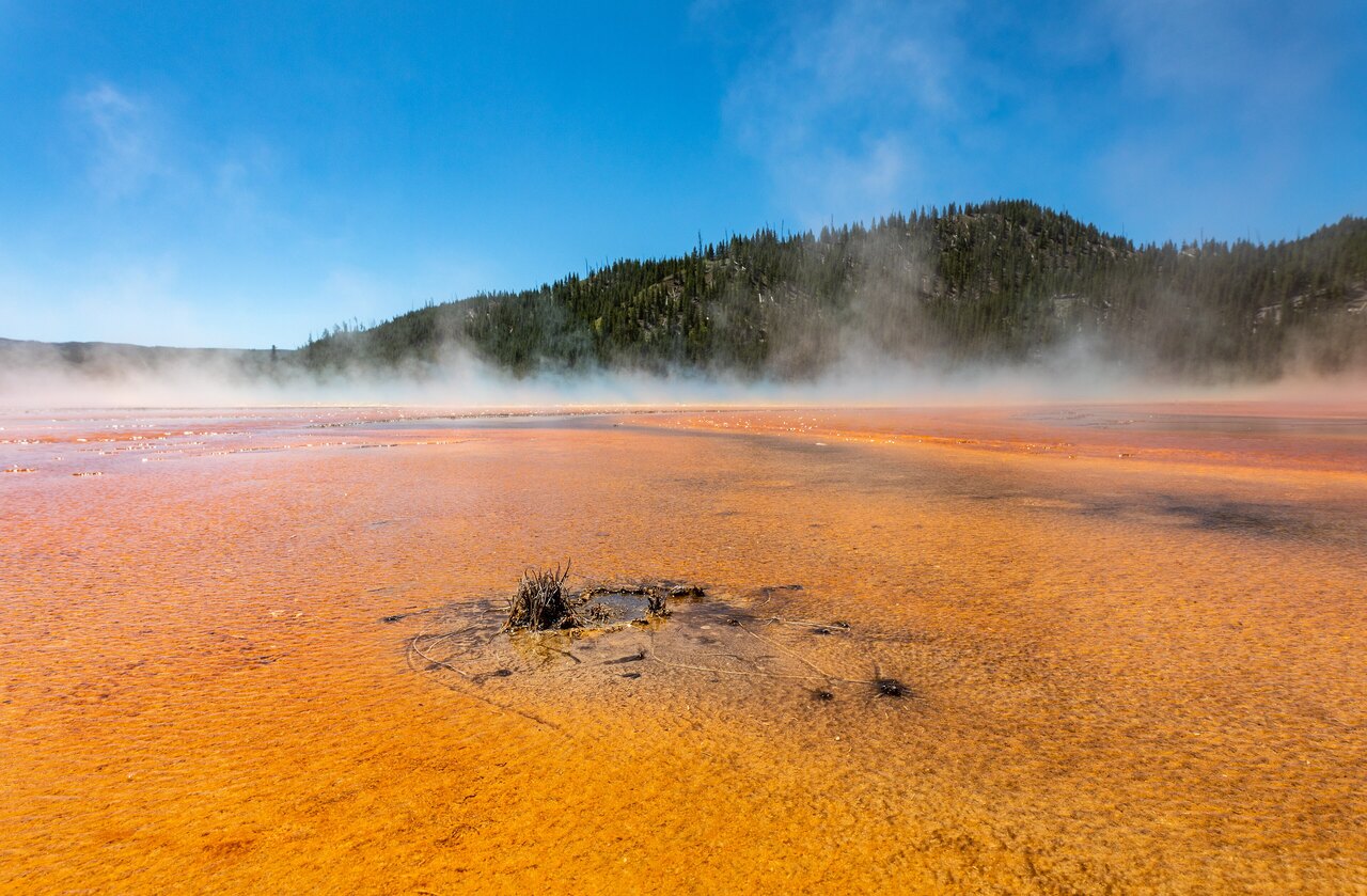 Yellowstone