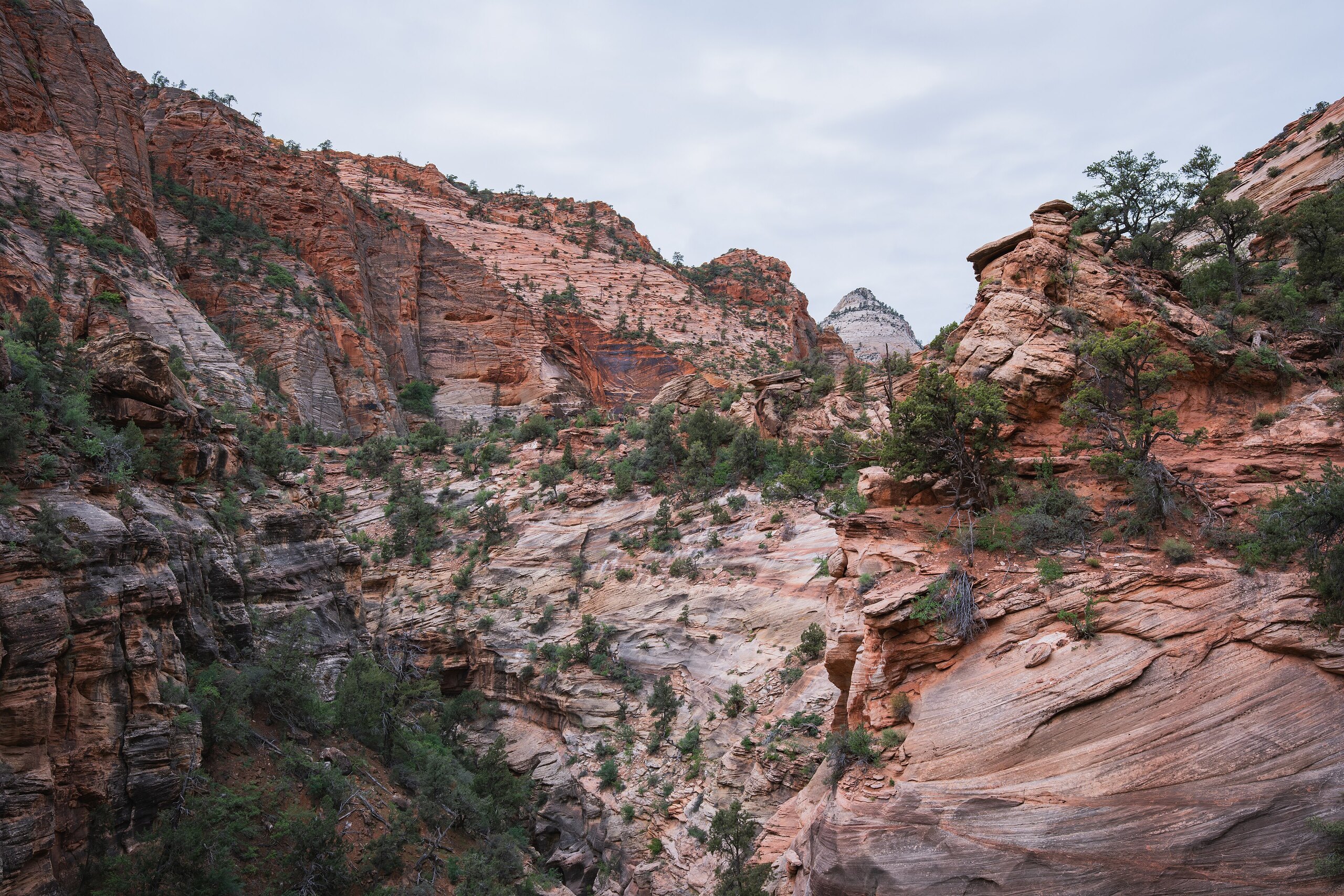 Zion National Park